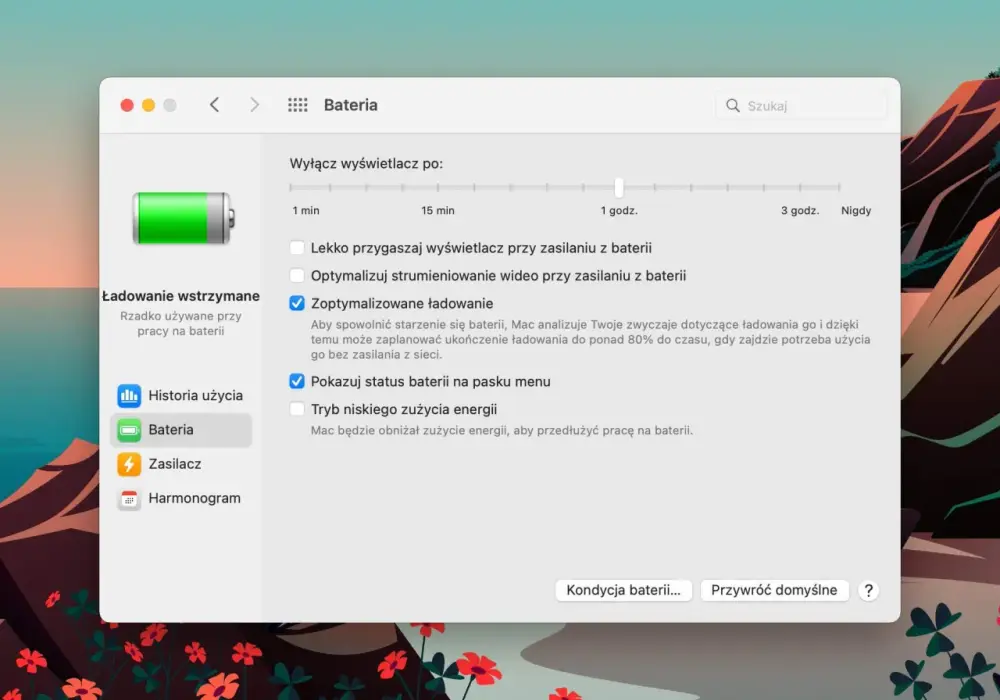 Pierwsze ładowanie iPhone'a - mity i fakty o baterii