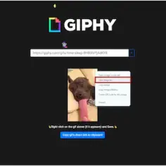 Prosty sposób jak pobrać gif z każdej strony w 3 krokach - szybki poradnik