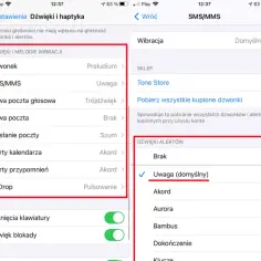 Ekran iPhone'a z ustawieniami dźwięków i powiadomień, zaznaczony "Popcorn".
